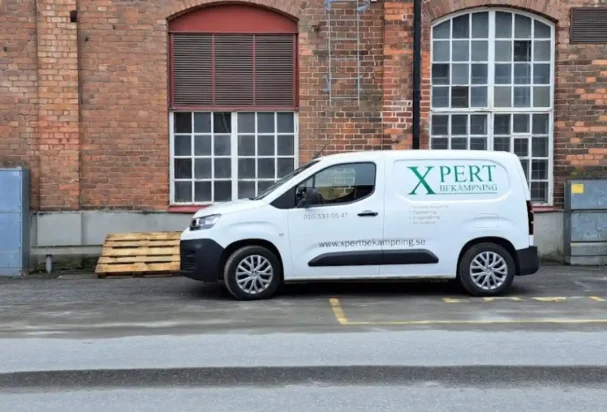 skadedjursbekämpning Kackerlackor